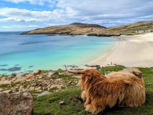 Harris Hideaway