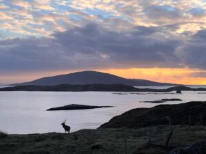 Harris Hideaway